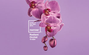 Color Pantone de l’Any 2014 – PANTONE Orquídia Radiant 18-3224
